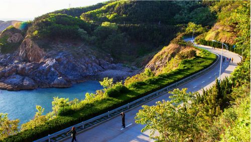 电话:13287808023地址:环翠区威青一级公路小庄