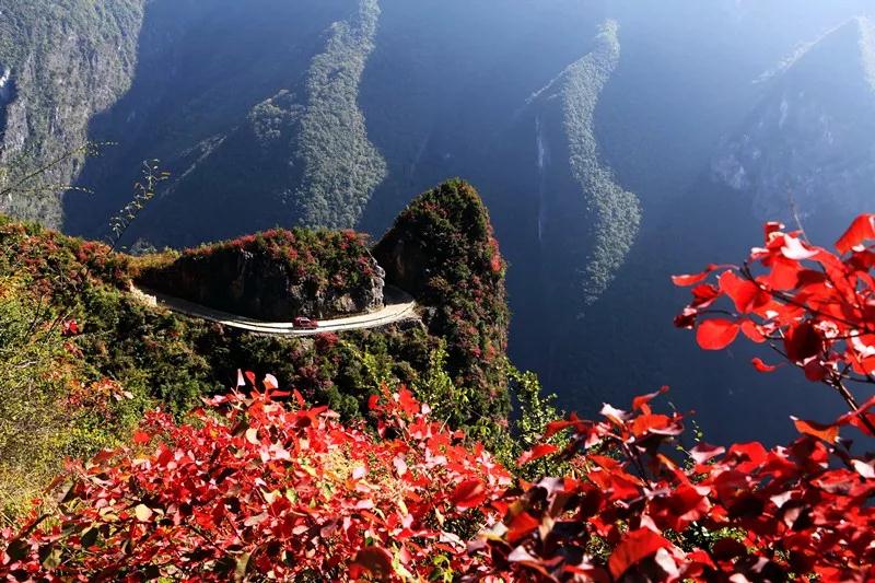 乐享旅游"中国的新西兰 巫溪红池坝处于中山亚高山台原之上,林草