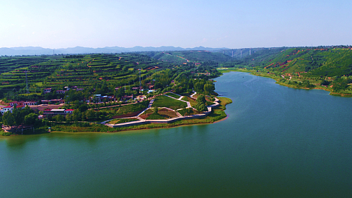 腾飞吧陕西丨走进白水:四圣故里果香飘 乡村振兴新白水