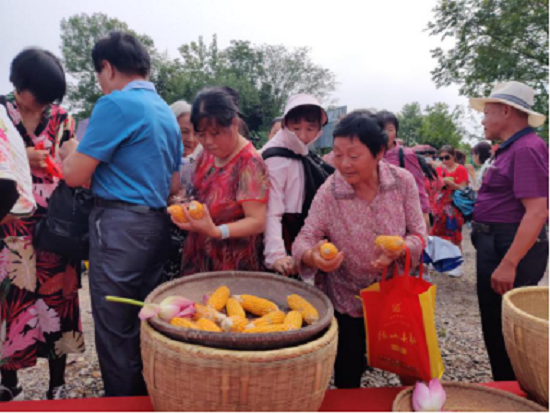 常德桃花源旅游管理区桃仙岭乡村旅游线路正式启动