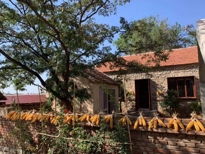 沂河源田园综合体农家小院此次公益演出活动,也是省政协联合日报(联合