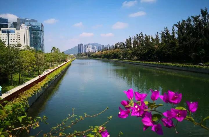 深圳大冲公园盛大开园南山区公园总数达136个