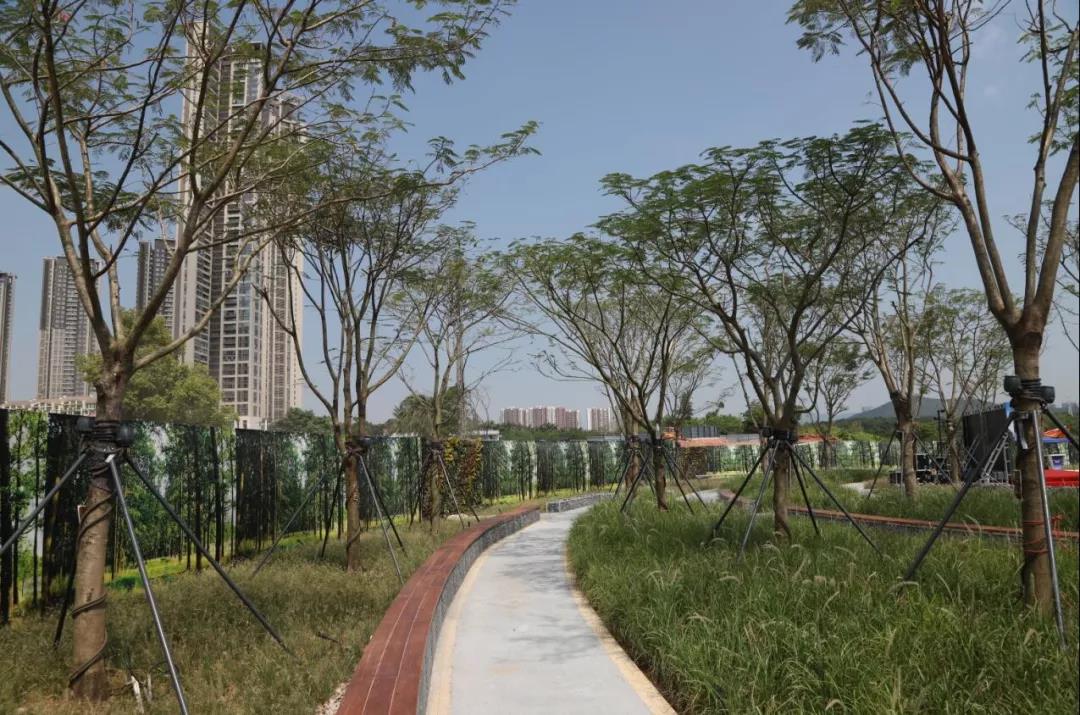 深圳大冲公园盛大开园南山区公园总数达136个