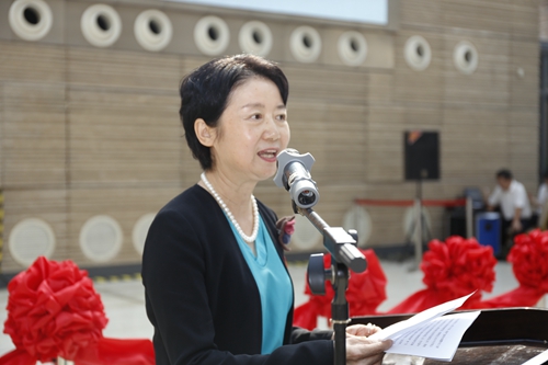 国际博物馆联盟副理事长,大唐西市博物馆馆长王彬就本系列展览策展