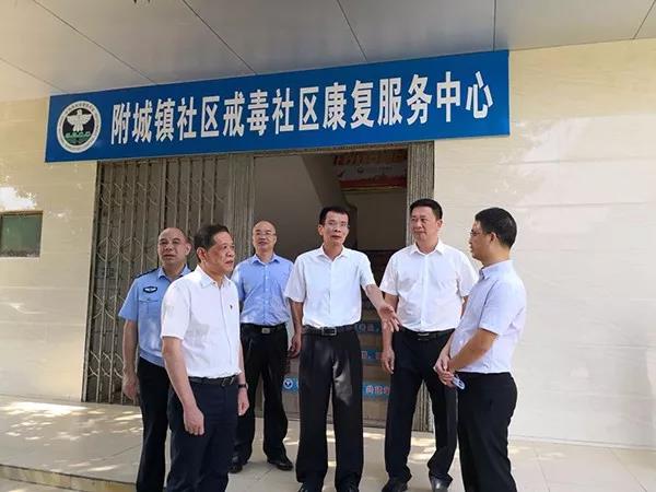 湛江市政法委书记林惜文率队调研雷州禁毒整治工作