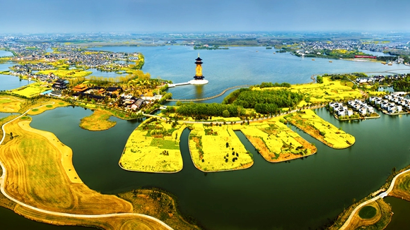 江苏泰州来渝推介邀重庆市民感受水城慢生活