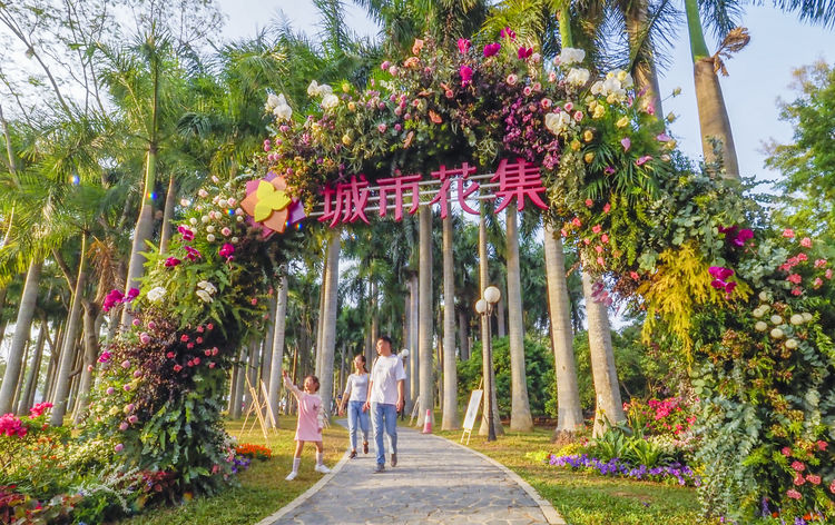 深圳2019簕杜鹃花展于11月8日在莲花山公园启动