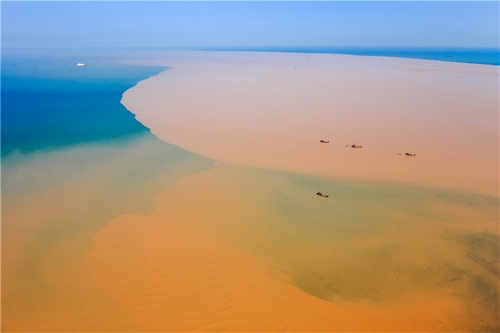 "黄河入海 我们回家" 绘就东营绿色发展新画卷