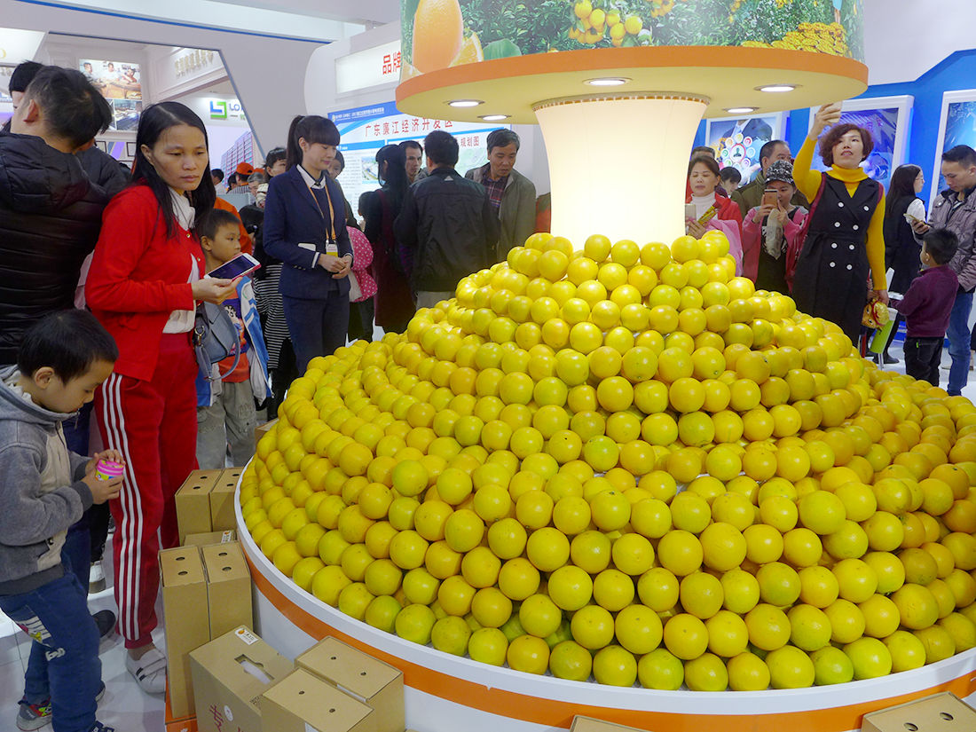 2019廉江红橙节暨家电博览会将于12月7日开幕