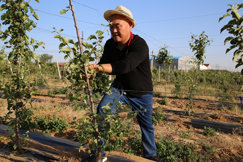 新闻资讯蒋家兵,山东省栖霞市观里镇蒋家庄村支部书记,栖霞市十七届