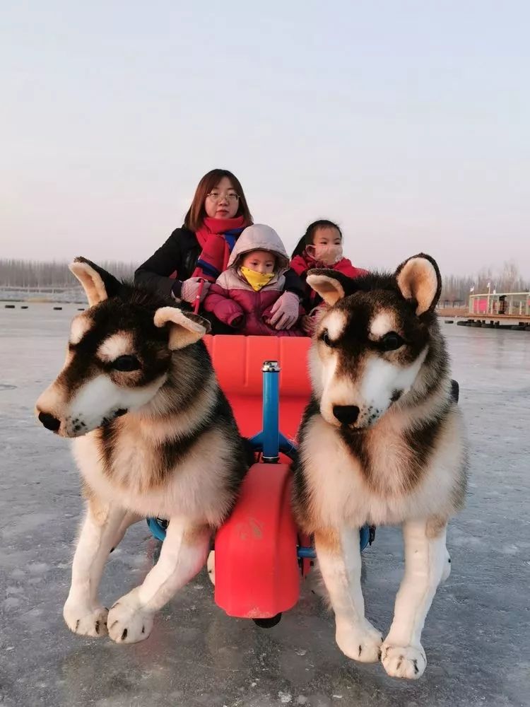 叮叮噹, 鈴兒響叮噹我們滑雪多快樂,我們坐在雪橇上衝破大風雪 我們坐