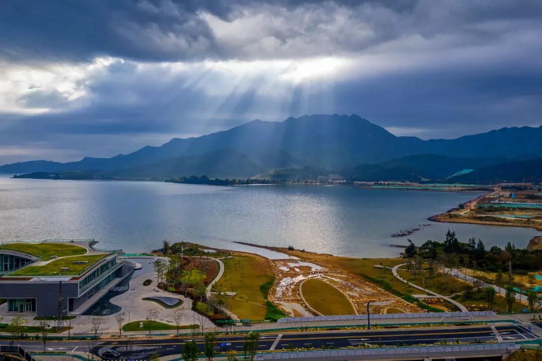 深圳大鹏新区坝光花海有多美精选获奖靓图新鲜出炉