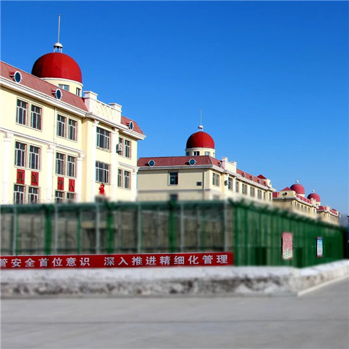 黑龙江省监狱暖心发布——当我们再相见,一起赏花灯