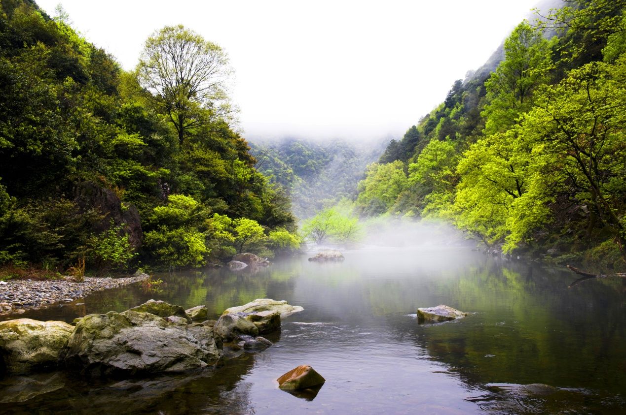 2020钱江源·长三角国民休闲旅游节开幕 全国首趟"钱江源号"旅游专列