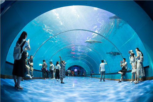 妈妈,途牛等),提前一天购票,成人双馆可享150元(极地海洋馆 欢乐剧场)