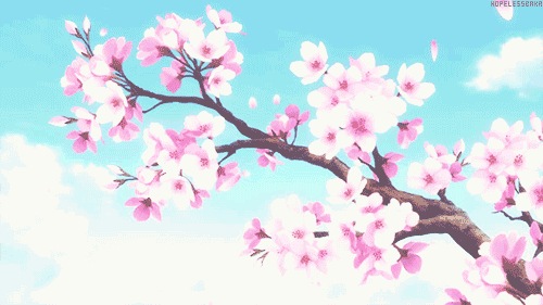 500_281gif 动态图 动图