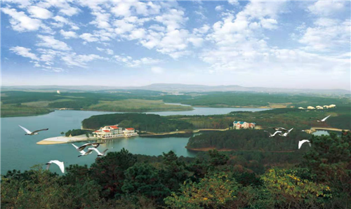 旅游线路丨滁州来安红色赏花之旅