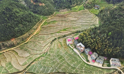 扶贫印记!万载县白水乡槽岭村"走"出致富之路