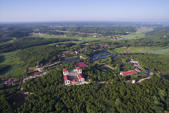草木蔓发春山可望常德鼎城乡村旅游热度持续升温
