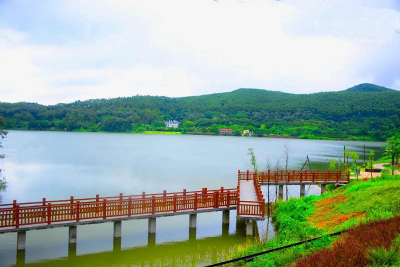 游灵山秀水品特色美食江门杜阮镇邀您一起过五一