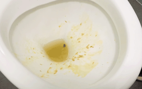 我家从来不刷马桶没尿垢没臭味其实学会这招你也行