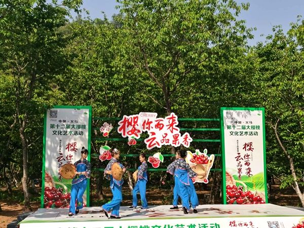 绿水青山红樱桃看乡村经济振兴的义马样本