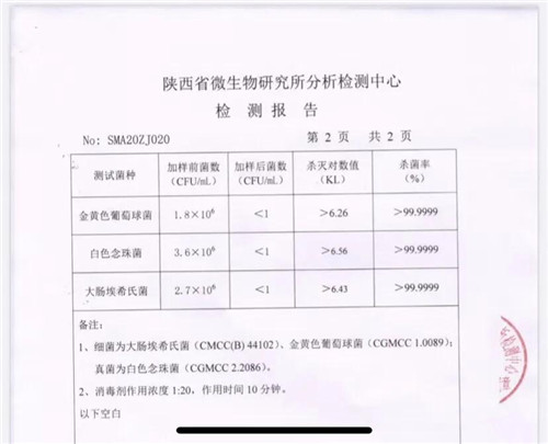 微生物检验报告单图片