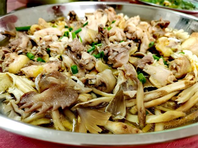 江门蓬江雷雨天送来的珍馐美食杜阮荔枝菌