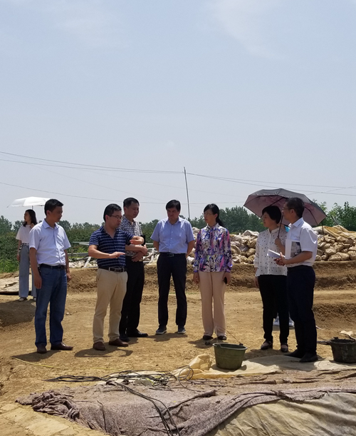 长丰县县委常委宣传部部长卢先梅到下塘古墓群调研
