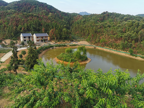 石台县小河镇生态农业园奏响致富曲