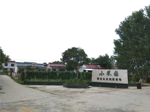 青阳县绿色小菜园富农助脱贫