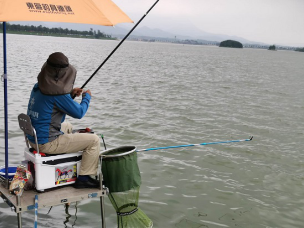 常德柳叶湖钓鱼图片