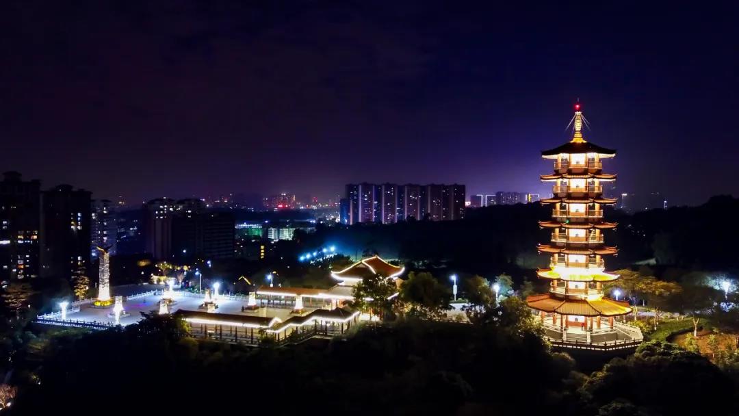 凤岗镇夜景图片