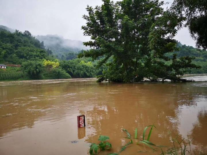 綦江遭遇歷史最大洪水轉移10萬餘人零傷亡背後