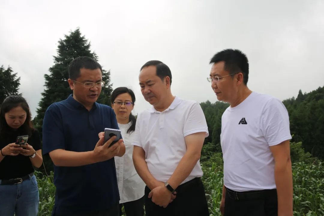 川渝合作高滩园区地处川渝结合部,是渝北,邻水融入成渝地区双城经济圈