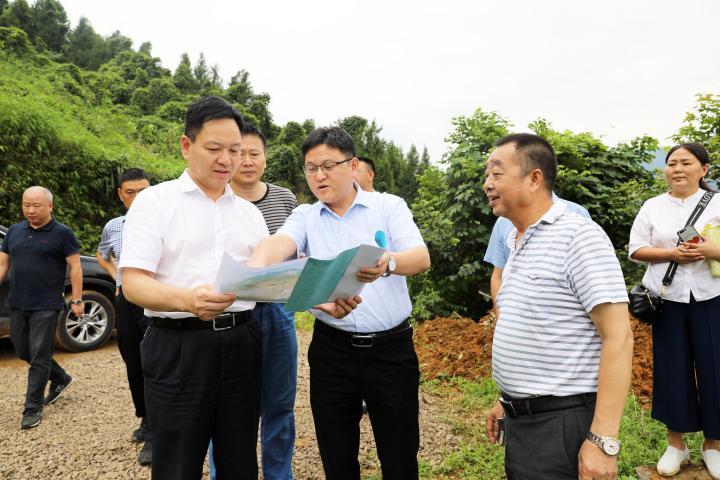 彭水书记钱建超围绕农民增收做好产业发展文章