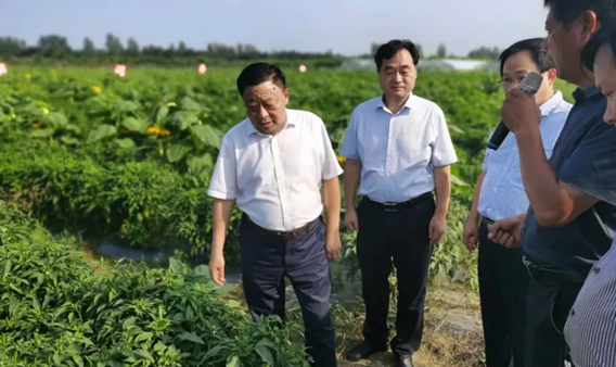 河南刘金山个人资料图片