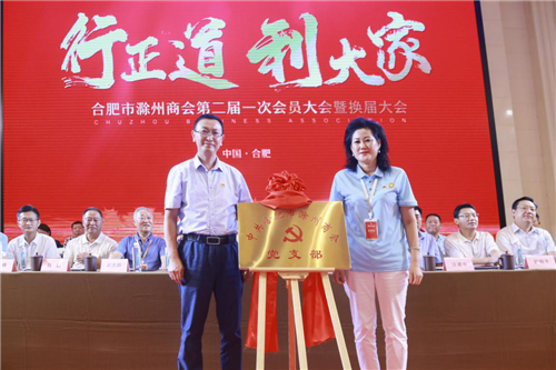合肥市滁州商会换届大会圆满召开金鹏控股集团董事长孙元武当选会长