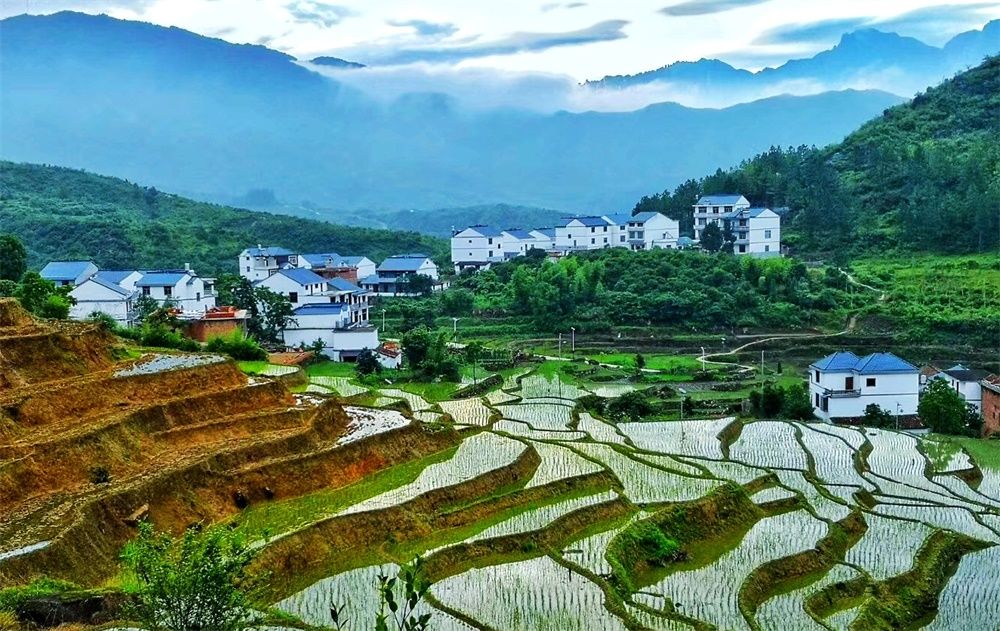 横峰县葛源梯田:一幅幅美丽的"中国山水画"