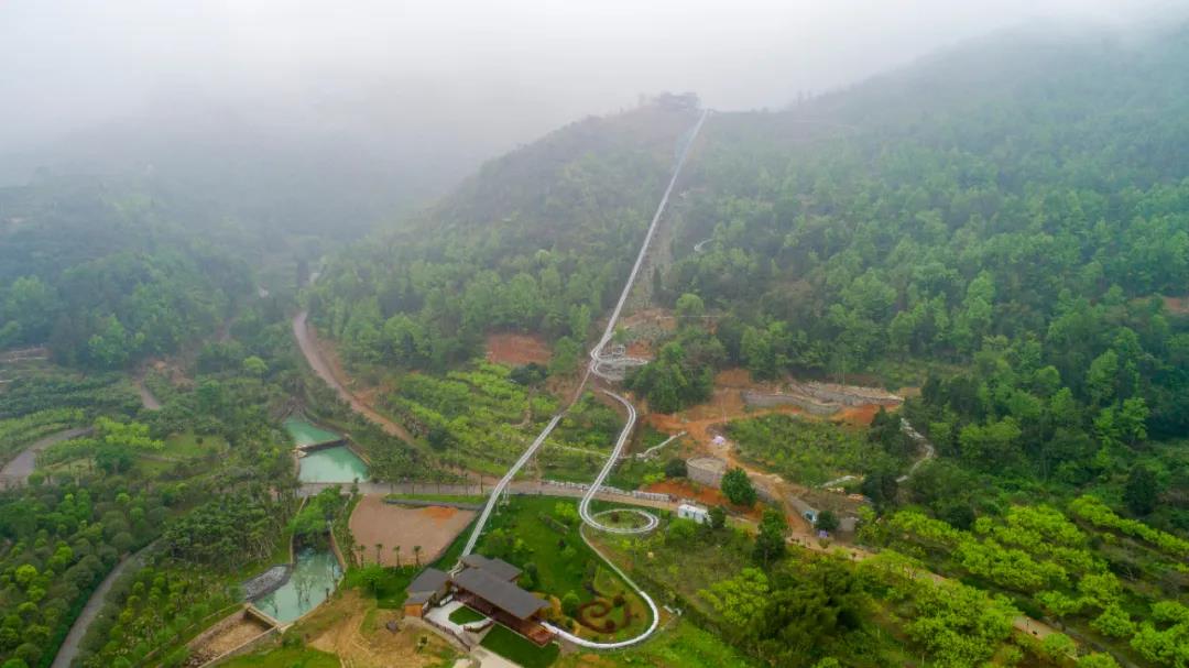 构建诗画家园大荆镇全域美建设全民动员
