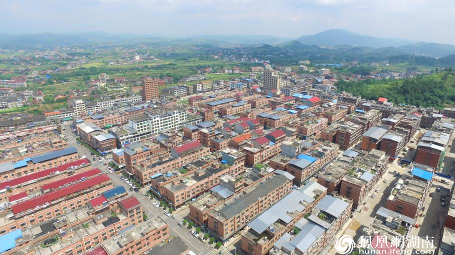 (湖南邵东廉桥"南国药都"鸟瞰图)