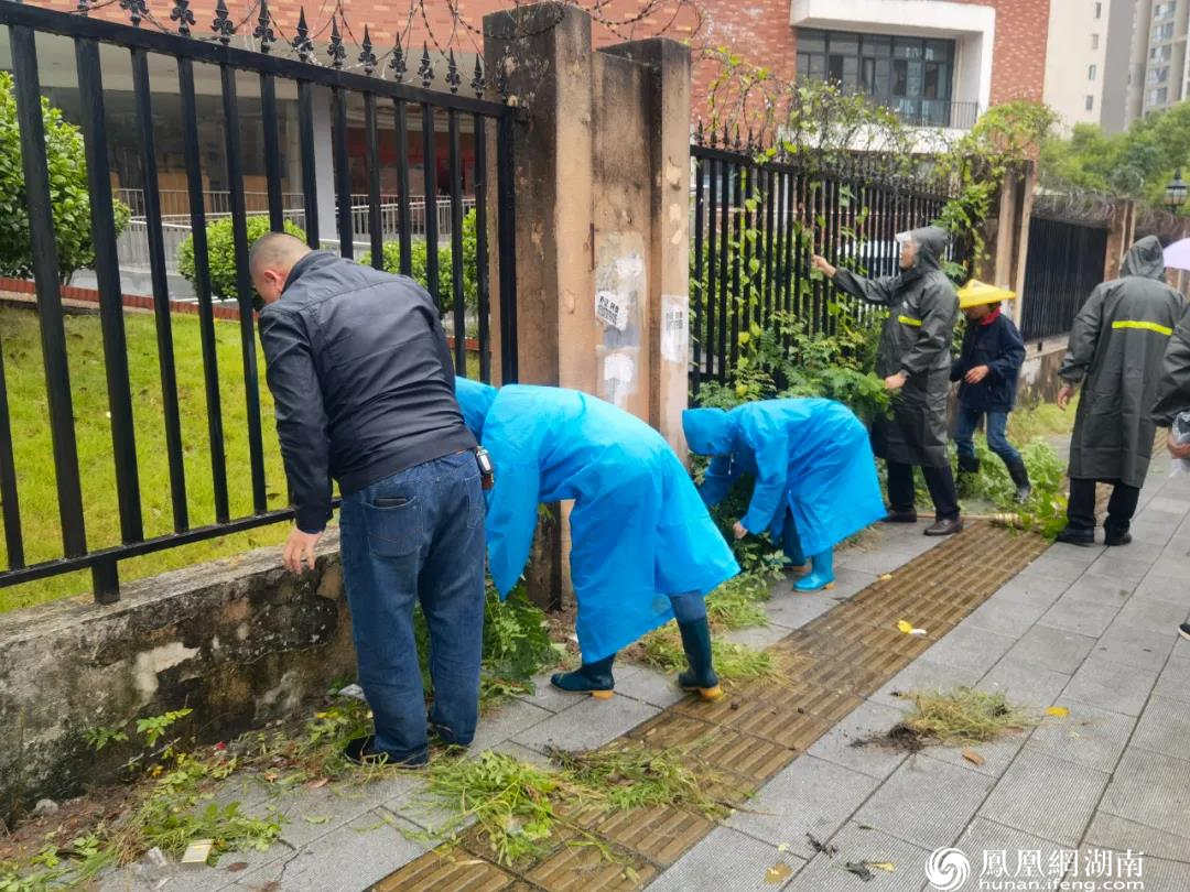 党建聚合力丨香樟公馆小区：激活“红色细胞”，打通基层治理痛点、难点和堵点