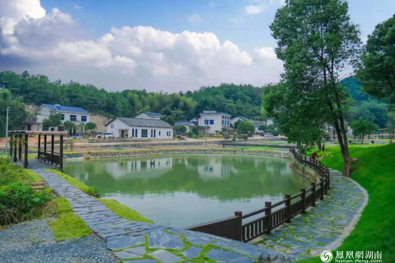 长沙县青山铺镇:以“清廉之路”涵养清风正气