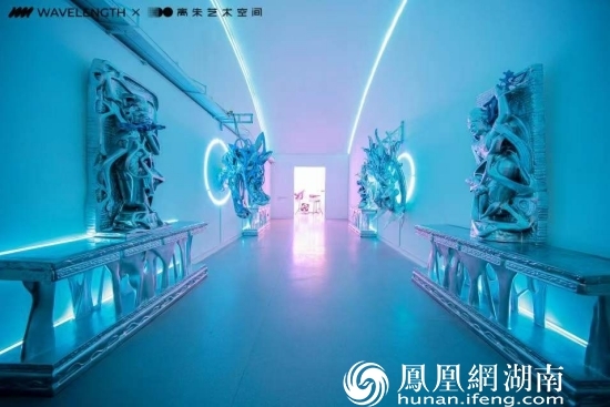曾晨作品现场