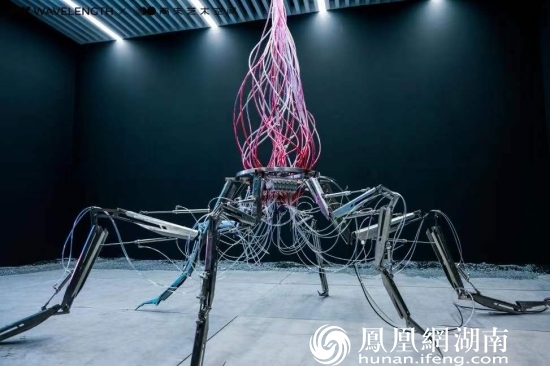 YIMING作品现场