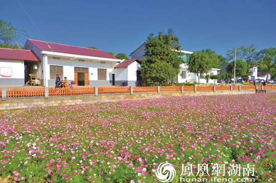 长沙县7个村（社区）获评省级美丽乡村示范村和特色精品乡村