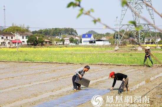 3月15日，天气晴好，长沙县北山镇抢抓时令，有条不紊地开展春耕春播，广阔的田野里随处可见忙碌的场景。（北山镇供图）陆瑶摄。