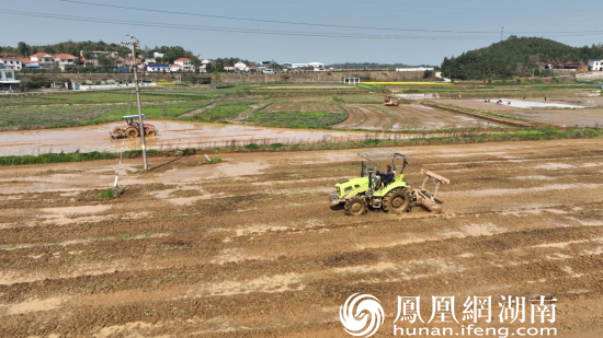 3月15日，村民们正在用旋耕机进行稻田深耕，为接下来的秧苗移栽做准备。（江背镇供图）李政 摄