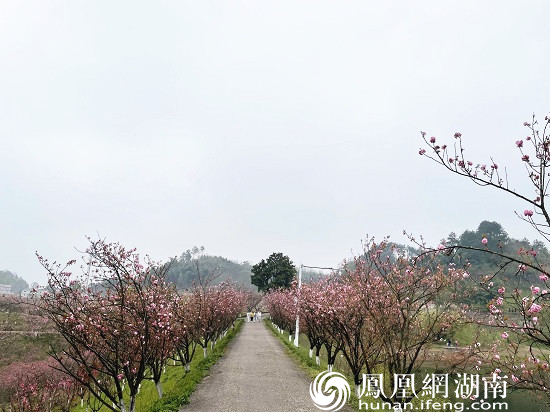 陌上花开,静待良人