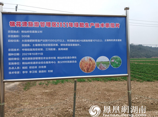 渔父村500亩绿肥示范片带动了2000多亩的绿肥种植